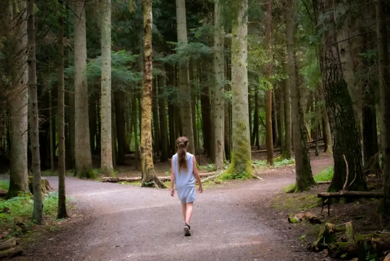 Persona caminando sola por un sendero del bosque que se bifurca en dos caminos